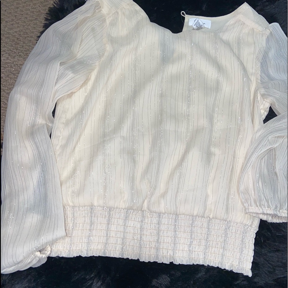 Sheer Off White Blouse